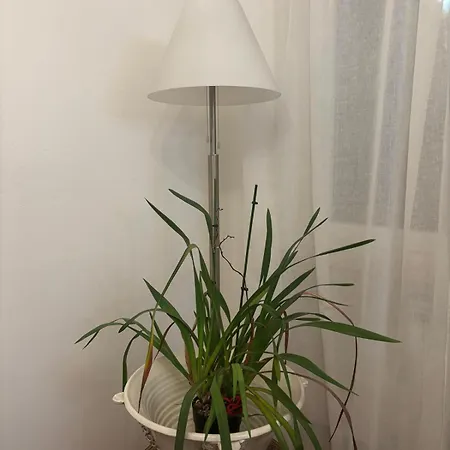 Apartman Minerva